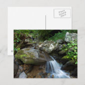 Carte Postale Lower Dark Hollow Falls, Shenandoah (Devant / Derrière)