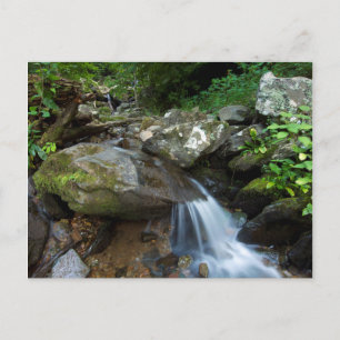 Carte Postale Lower Dark Hollow Falls, Shenandoah