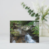 Carte Postale Lower Dark Hollow Falls, Shenandoah (Debout devant)