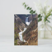 Carte Postale Lower Falls Yellowstone (Debout devant)