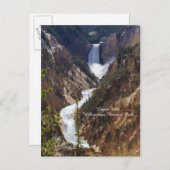 Carte Postale Lower Falls Yellowstone (Devant / Derrière)