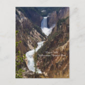 Carte Postale Lower Falls Yellowstone (Devant)