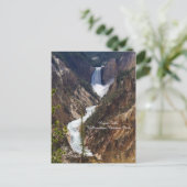 Carte Postale Lower Falls Yellowstone (Debout devant)