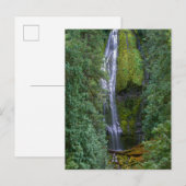 Carte Postale Lower Proxy Falls | Forêt nationale de Willamette (Devant / Derrière)