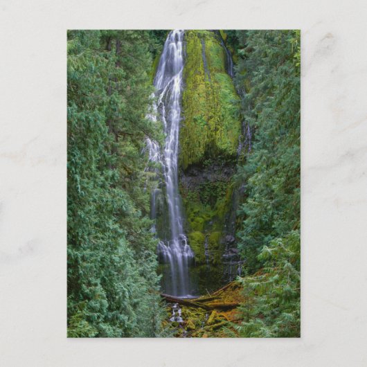 Carte Postale Lower Proxy Falls | Forêt nationale de Willamette (Devant)