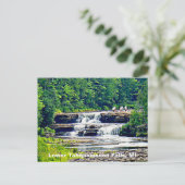 Carte Postale Lower Tahquamenon Falls State Park, Michigan (Debout devant)
