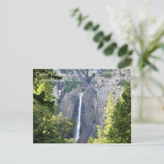 Carte Postale Lower Yosemite Falls, parc national Yosemite, CA P (Debout devant)