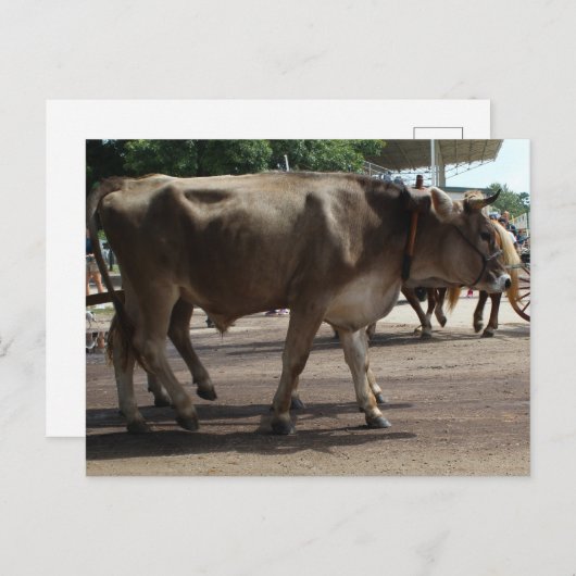 Carte Postale L'oxyde (Devant / Derrière)