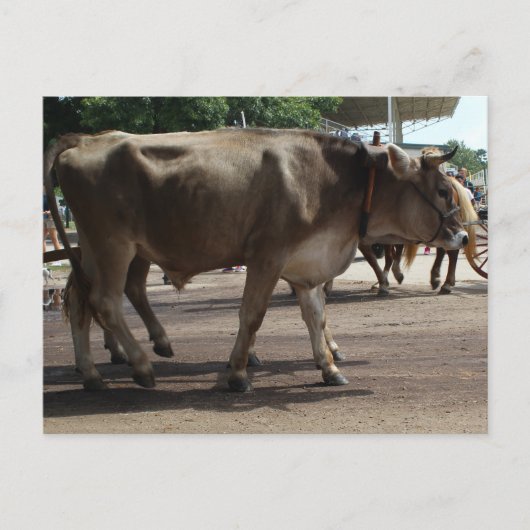 Carte Postale L'oxyde (Devant)