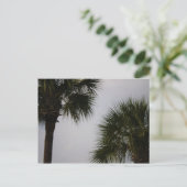 Carte Postale lpn 160 (Debout devant)