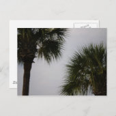 Carte Postale lpn 160 (Devant / Derrière)