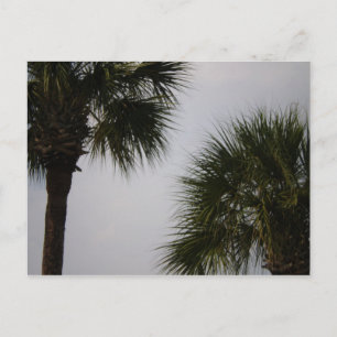 Carte Postale lpn 160