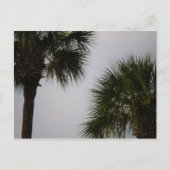 Carte Postale lpn 160 (Devant)