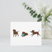 Carte Postale lr chocolate lab bande dessinée (Debout devant)