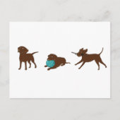 Carte Postale lr chocolate lab bande dessinée (Devant)