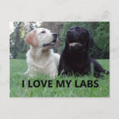 Carte Postale LR I Love My Labs avec photo (Devant)