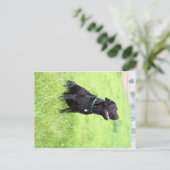 Carte Postale LR - laboratoire noir (Debout devant)