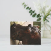 Carte Postale Lu (Debout devant)