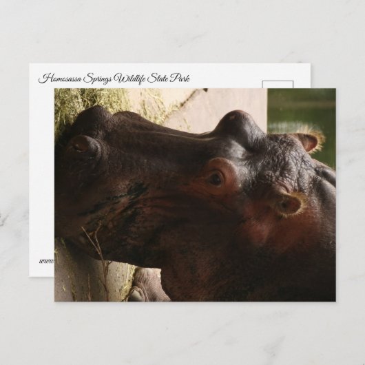 Carte Postale Lu (Devant / Derrière)