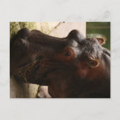 Carte Postale Lu (Devant)