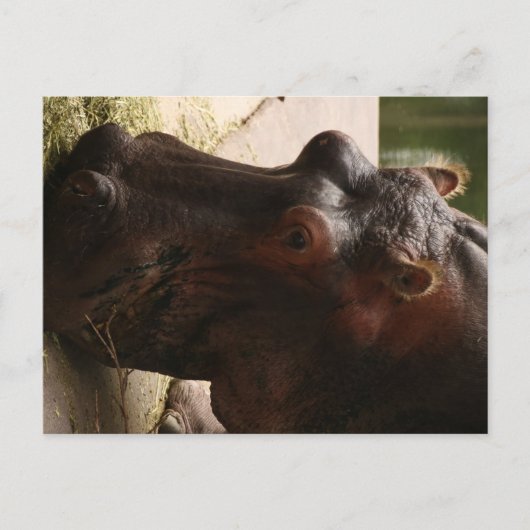 Carte Postale Lu (Devant)