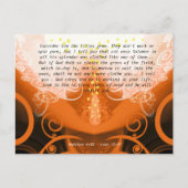 Carte Postale Luc 12:27 Voyez comment les lis poussent. (Devant)