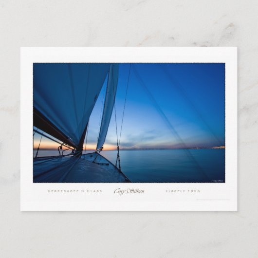 Carte Postale Luciole (Devant)