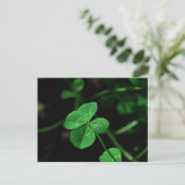 Carte Postale Lucky (Debout devant)