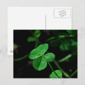 Carte Postale Lucky (Devant / Derrière)