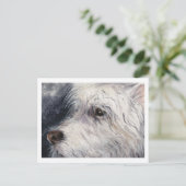 Carte Postale Lucky (Debout devant)