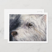 Carte Postale Lucky (Devant / Derrière)