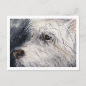 Carte Postale Lucky (Devant)