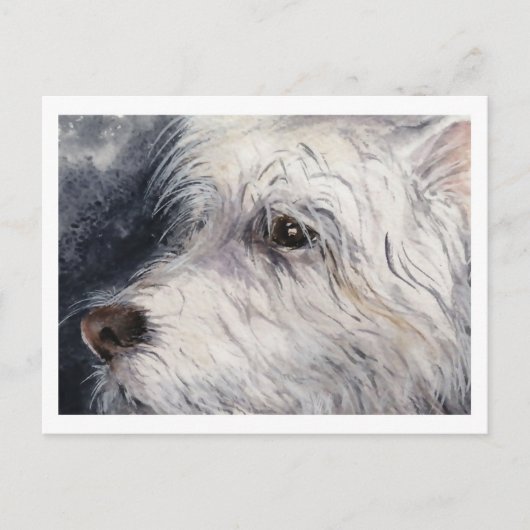 Carte Postale Lucky (Devant)