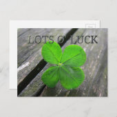 Carte Postale Lucky 4 feuilles trèfle (Devant / Derrière)