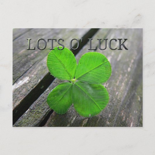 Carte Postale Lucky 4 feuilles trèfle (Devant)