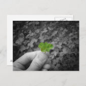 Carte Postale Lucky 6 (version de couleur sélective) (Devant / Derrière)