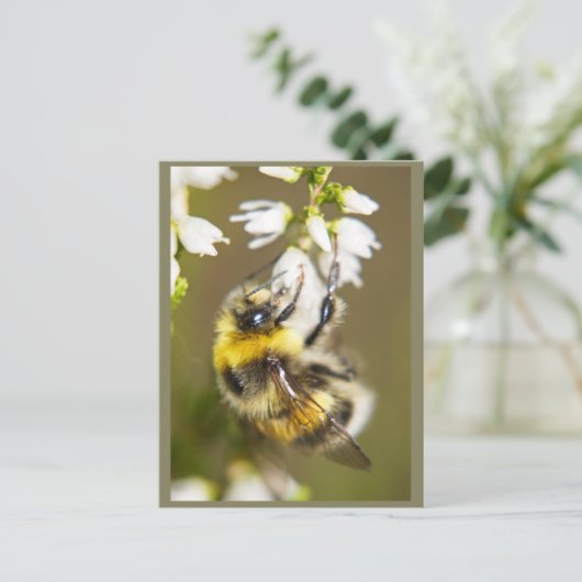 Carte Postale Lucky Bee (Debout devant)