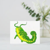 Carte Postale Lucky Catfish (Debout devant)