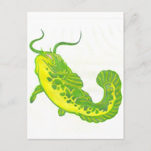 Carte Postale Lucky Catfish (Devant)