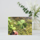 Carte Postale Lucky Day (Debout devant)