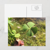 Carte Postale Lucky Day (Devant / Derrière)