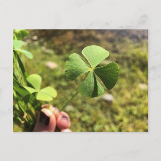 Carte Postale Lucky Day (Devant)