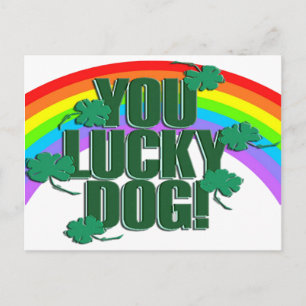 Carte Postale Lucky Dog et Rainbow St Patrick