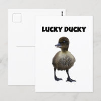 Lucky Duck Funny Cute Duckling Oiseau Photo Art