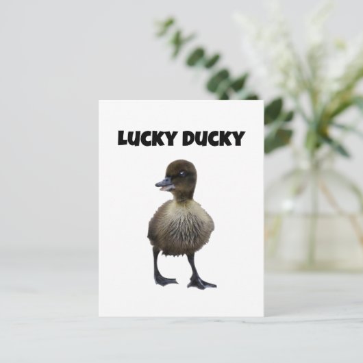 Carte Postale Lucky Duck Funny Cute Duckling Oiseau Photo Art (Debout devant)