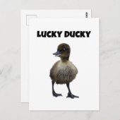 Carte Postale Lucky Duck Funny Cute Duckling Oiseau Photo Art (Devant / Derrière)