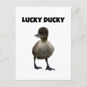 Carte Postale Lucky Duck Funny Cute Duckling Oiseau Photo Art (Devant)