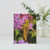 Carte Postale Lucky Grasshopper sur Ageratum (Debout devant)