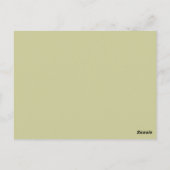 Carte Postale Lucky Leprechaun Avec Shamrocks (Dos)