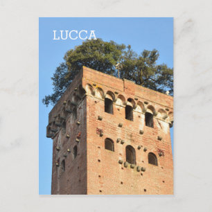 Carte Postale Lucques, Italie